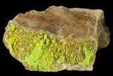 Vibrant Green Pyromorphite Crystals on Matrix - China #147658-1